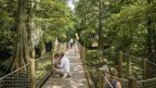 Aventura gallery — photo 8