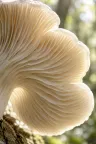 Eve gallery — photo 11