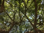 Beit Hanaara gallery — photo 16