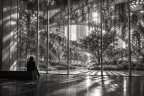Vertical gallery — photo 16
