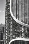 Vertical gallery — photo 10
