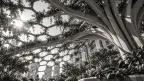 Vertical gallery — photo 14