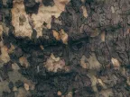 Beit Hanaara gallery — photo 18